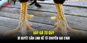 Vảy gà tứ quý - Bí quyết săn linh kê từ chuyên gia C168