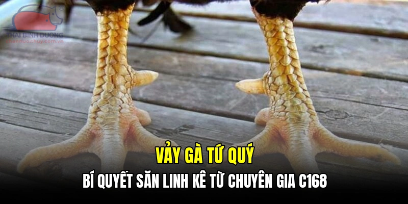 Vảy gà tứ quý - Bí quyết săn linh kê từ chuyên gia C168